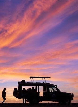 Gorilla Safari Bookings - Uganda Holiday Vacations