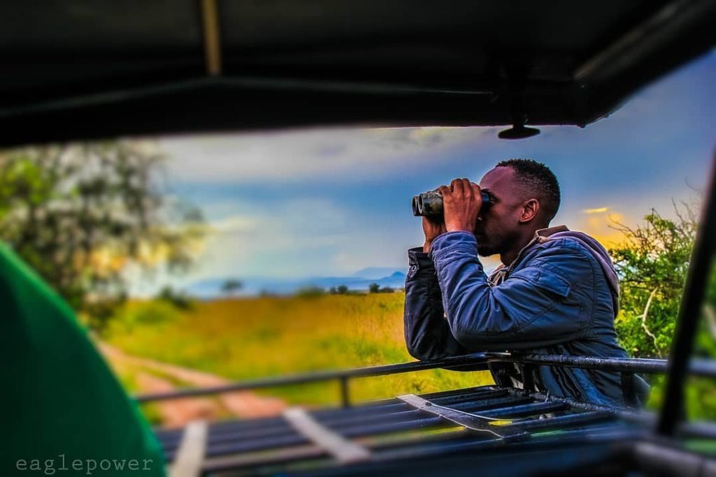 7 Tips To Improve Your Photos on Photography Uganda Safari