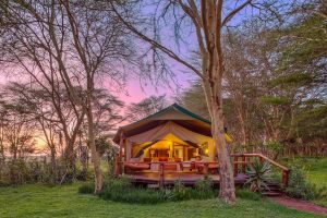 Most Romantic Safaris in Africa