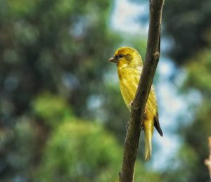 Cheapest Countries To Live or Retire in Africa